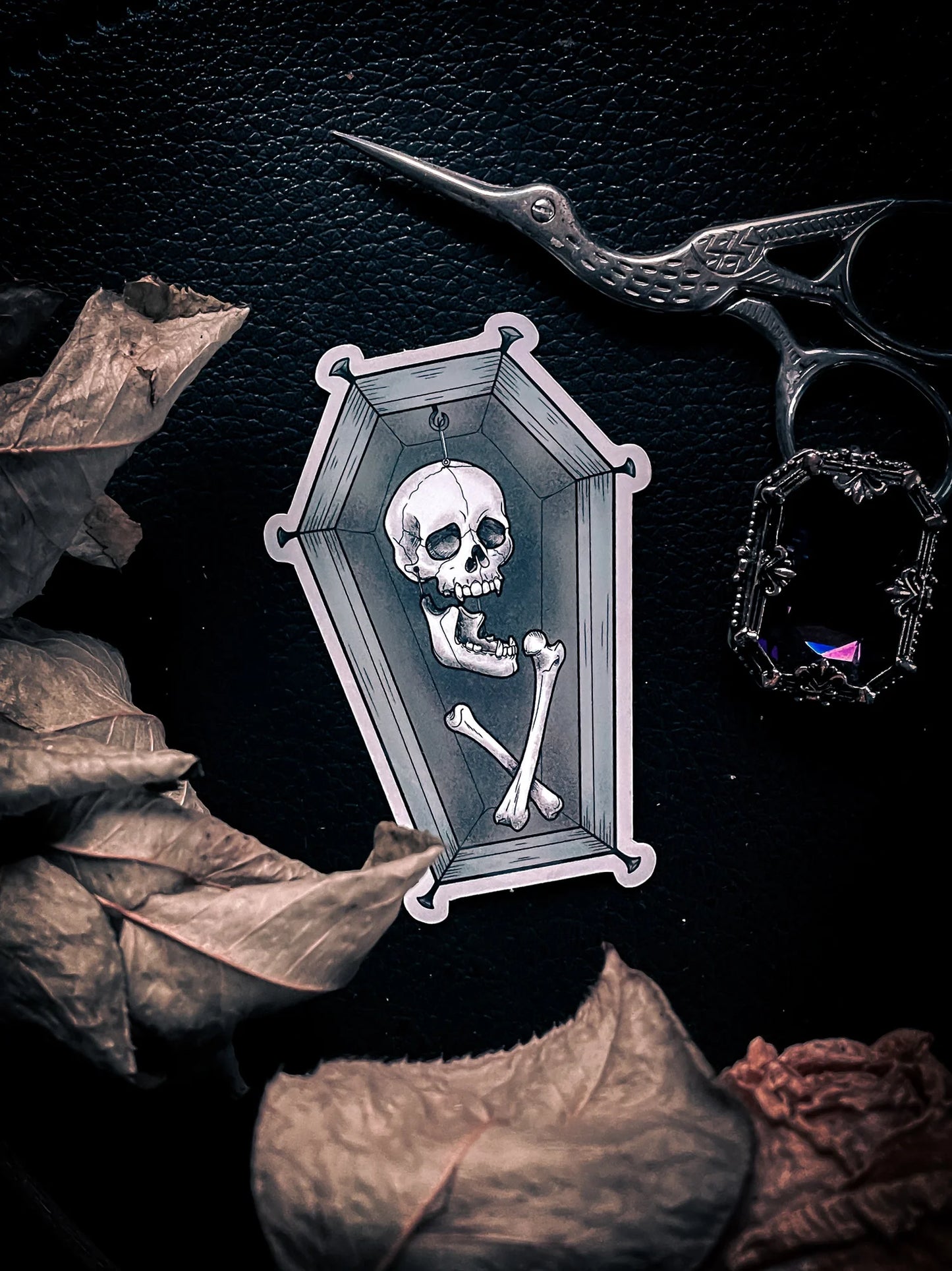 Curiosity Coffin Sticker